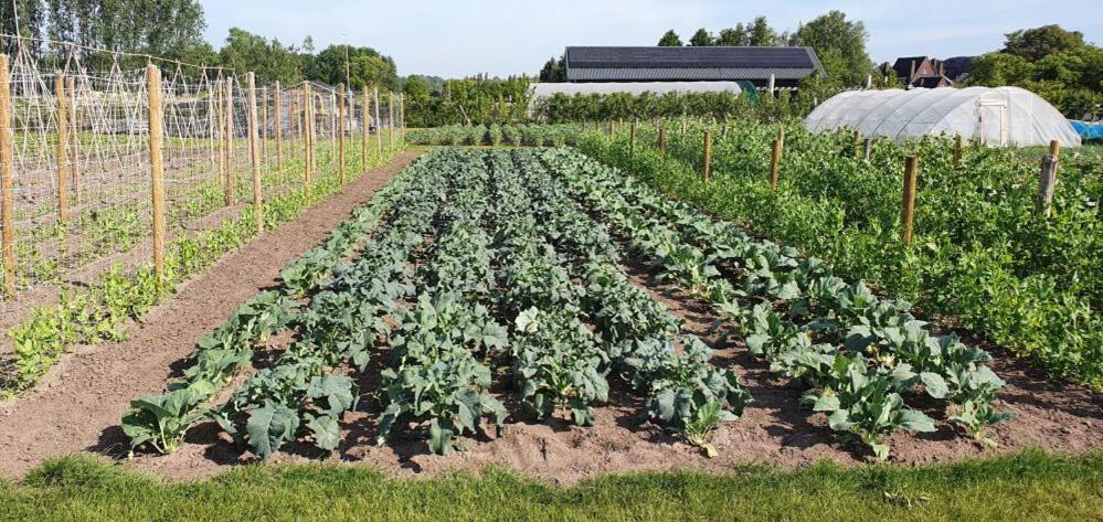 De Weitens Valkenswaard Exterior foto